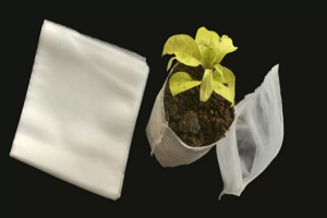 育苗袋的材質可以降解嗎
